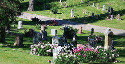 Holy Rosary's Cemetery